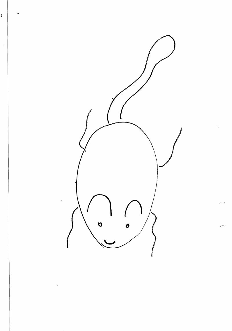 Djur